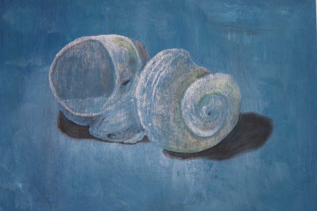 Shell I.  Pastel work on paper.  42 cm x 60 cm.  SOLD